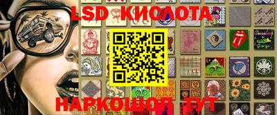 ГАЛЛЮЦИНОГЕННЫЕ ГРИБЫ Будённовск